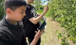 Как ИИ помогает учителю биологии